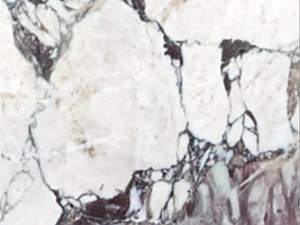 Viola Bella Extra MarbleHoned